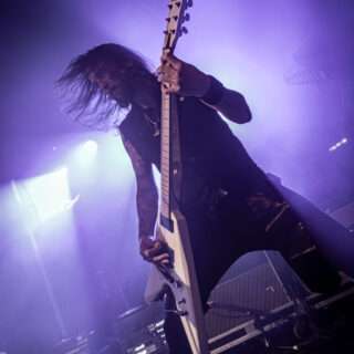 High Parasite