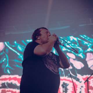 Pig Destroyer