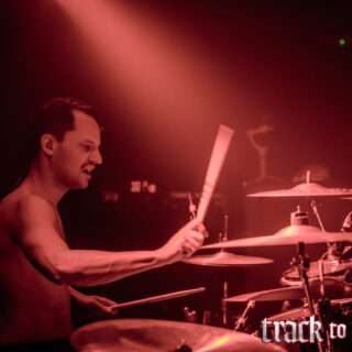 Cold Night For Alligators