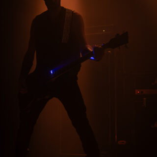 Wolves In The Throne Room